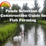 Ponds-selection