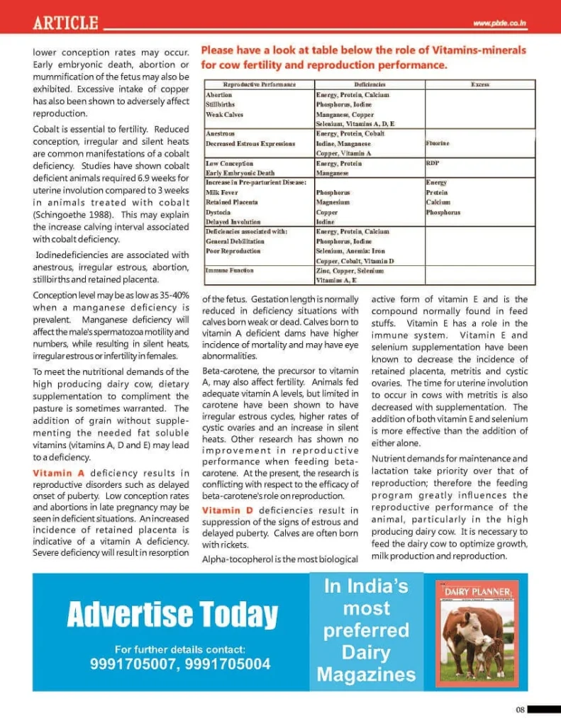 Vitamins-Minerals-for-Cow-Fertility