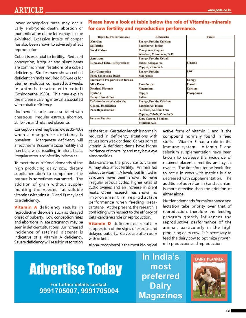 Vitamins-Minerals-for-Cow-Fertility