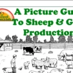a-picture-guide