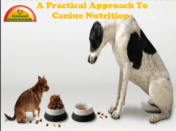 a-practical-approach