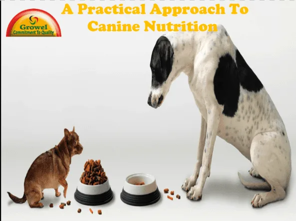 a-practical-approach