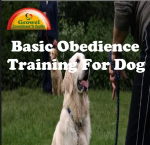 basic-obedient