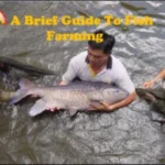brief-guide-to-fish-farming-300x214-1-150x150