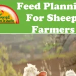 feed-planingwebp