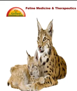 feline-253x300