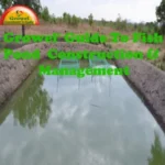 fish-pond