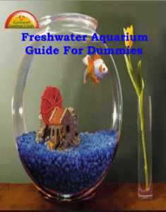 freshwater