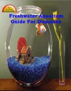 freshwater