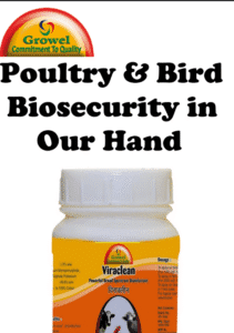 poultry-211x300