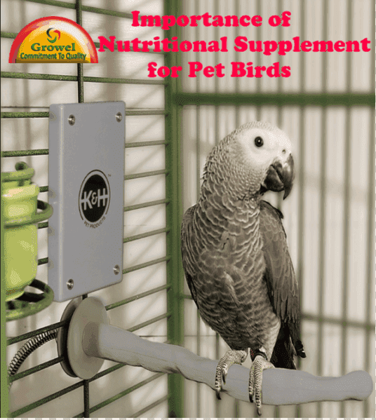 veterinary-books-pet