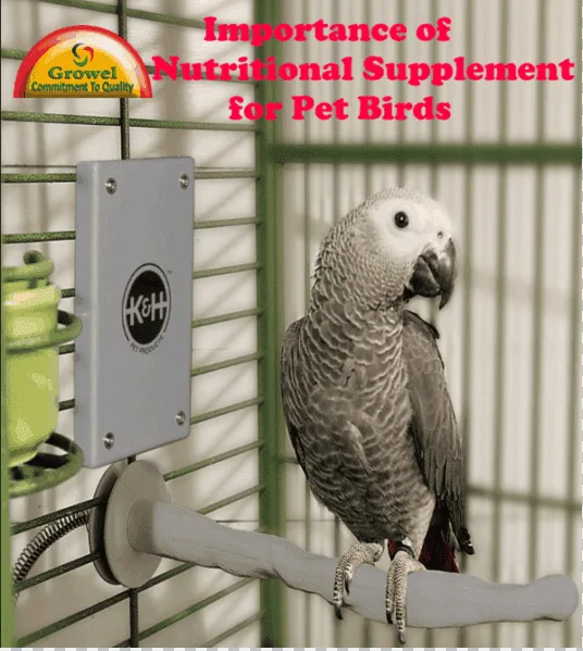 veterinary-books-pet