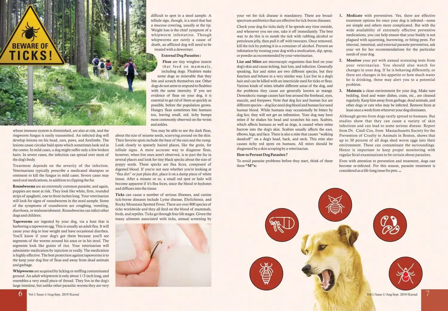 All About Parasites in Dogs Published in Pet ‘n’ Vet Magazine :Aug-Sept-19 . The article is written by – Mr. Rakesh Kumar.