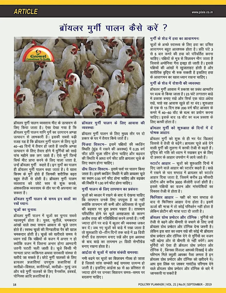 ब्रॉयलर मुर्गी पालन कैसे करें – poultry farming guide India