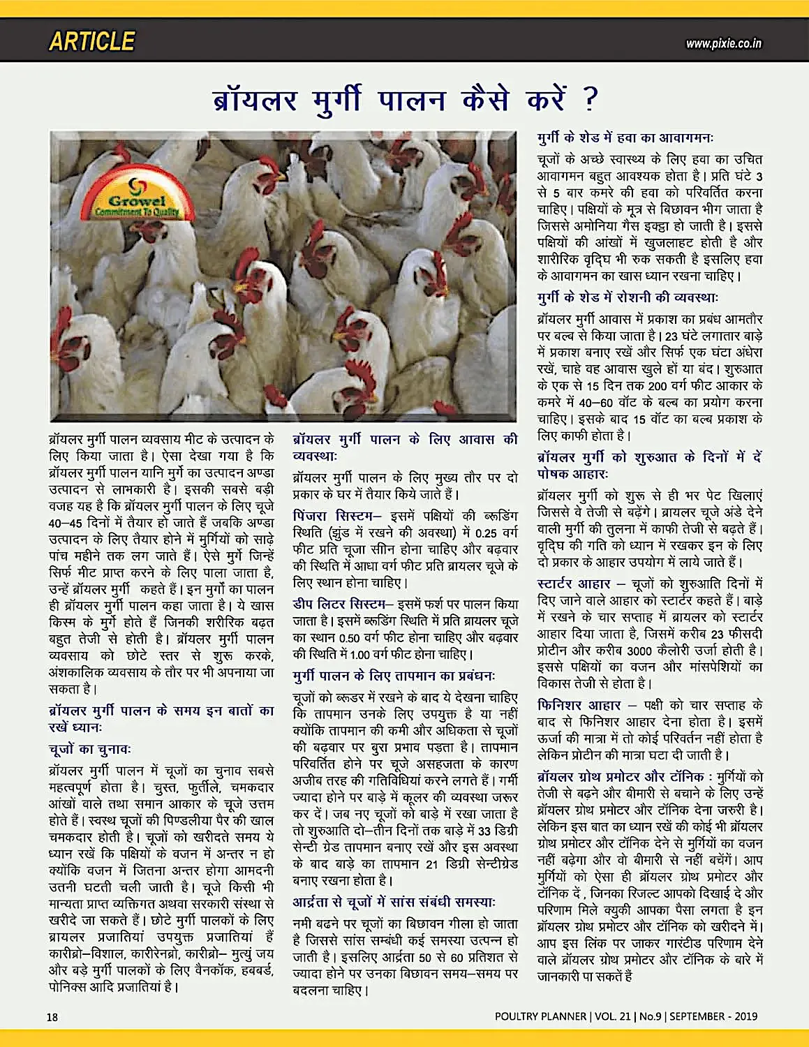 ब्रॉयलर मुर्गी पालन कैसे करें – poultry farming guide India
